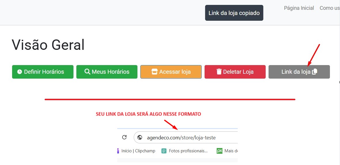 Uma foto mostrando como obter o link da loja