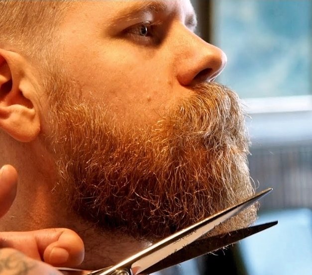 Barba