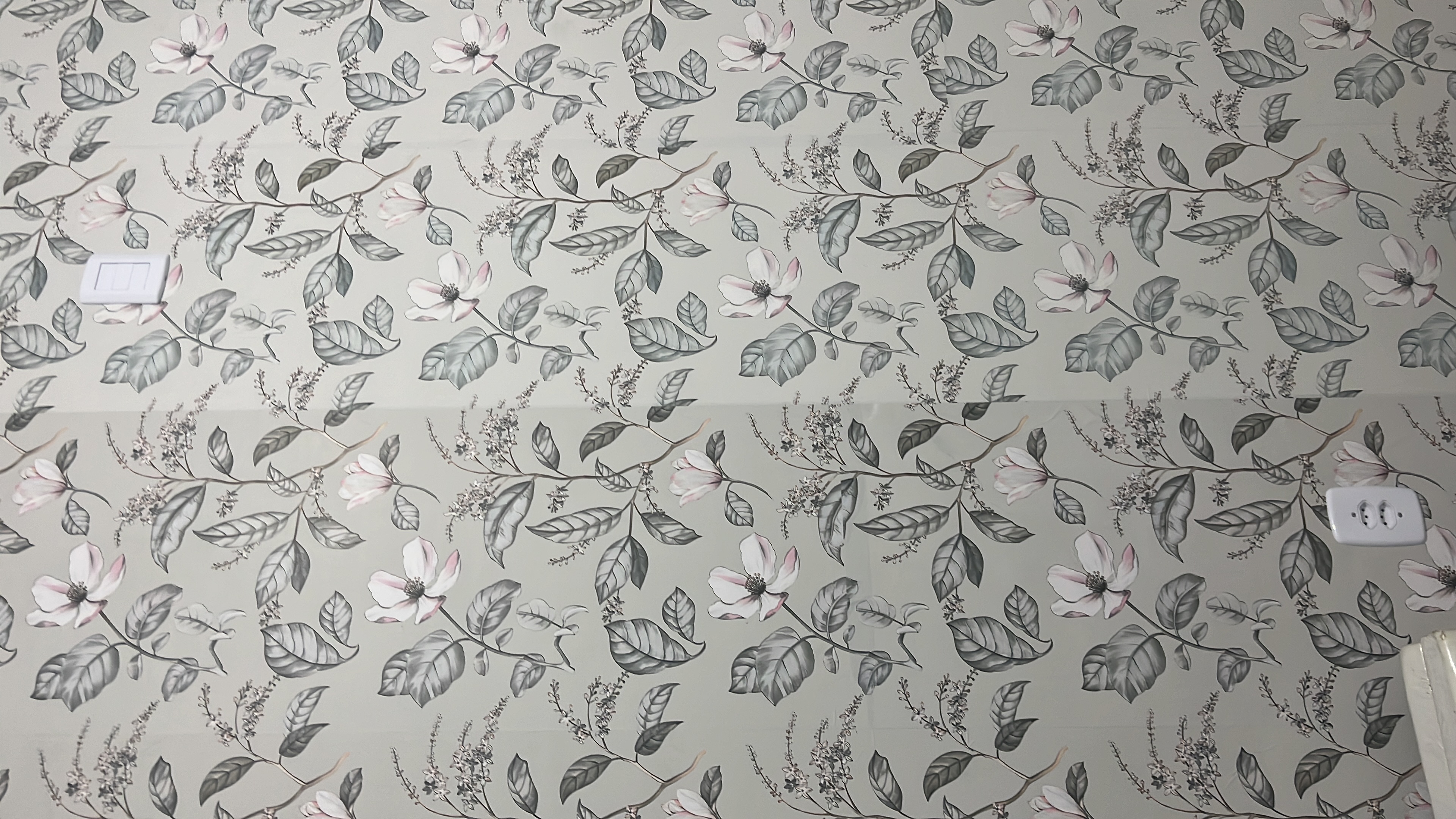 Alisamento orgânico