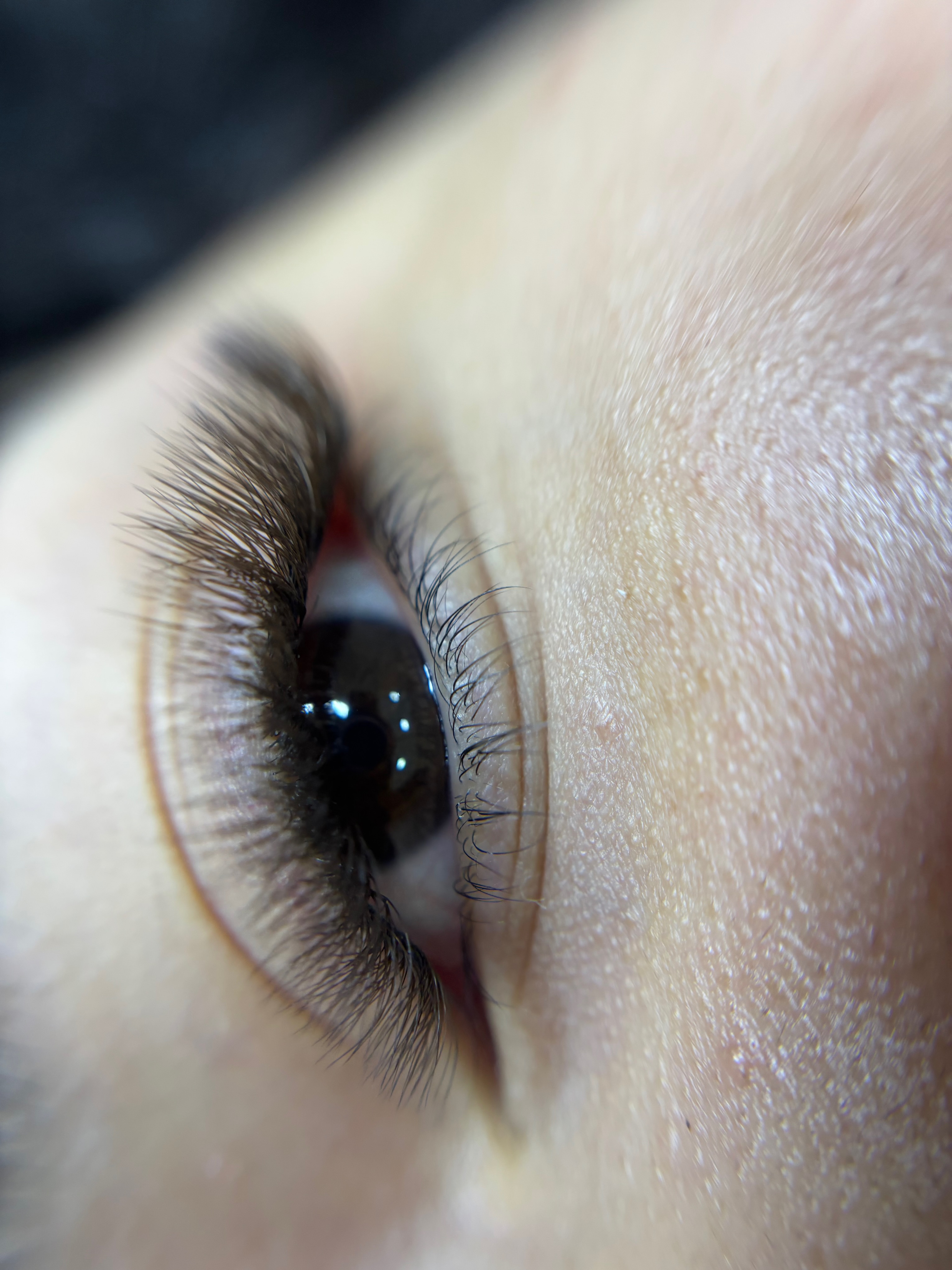 Fox Eyes Marron ou preto